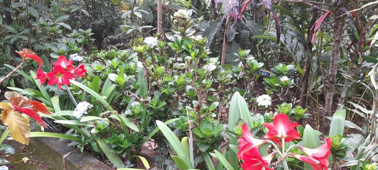 Le Farmhouse Munnar Anachal Exterior photo